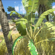 Illustration for article titled Why Everything Keeps Staring At Me In ARK: Survival Evolved